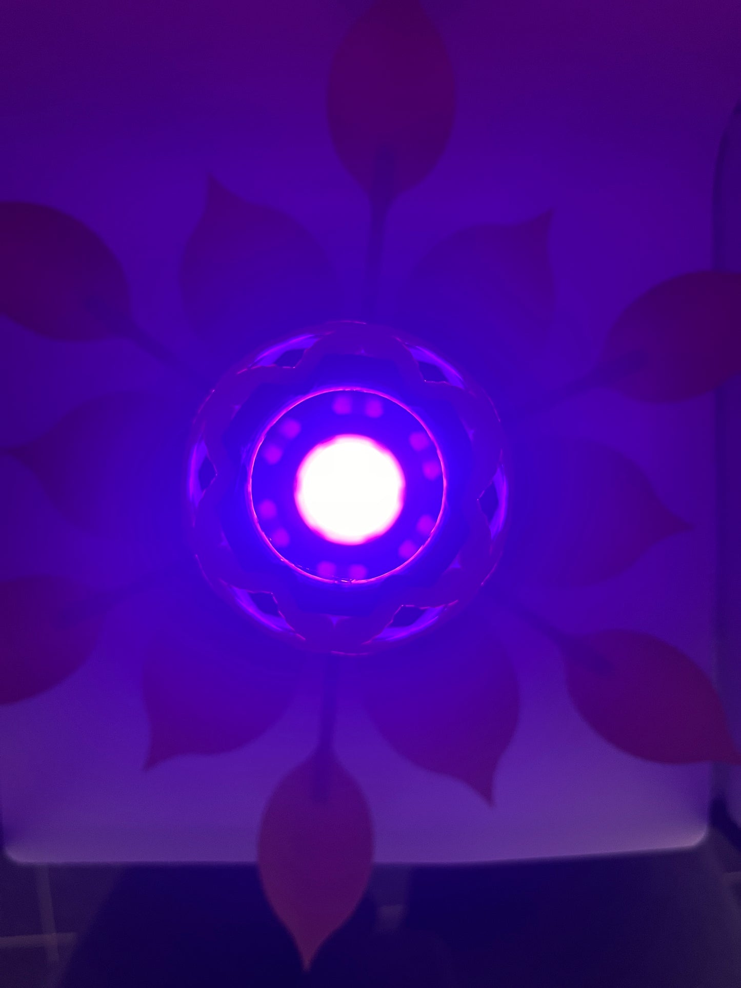 Bloemlamp – Sfeerlamp met openbloeiende bloembol & afstandsbediening