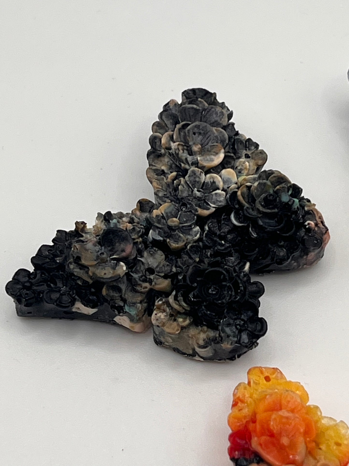 Vlindermagneetjes van gerecycleerd 3D-printmateriaal - elke keer een verrassing